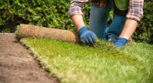 Landscaping in Guelph